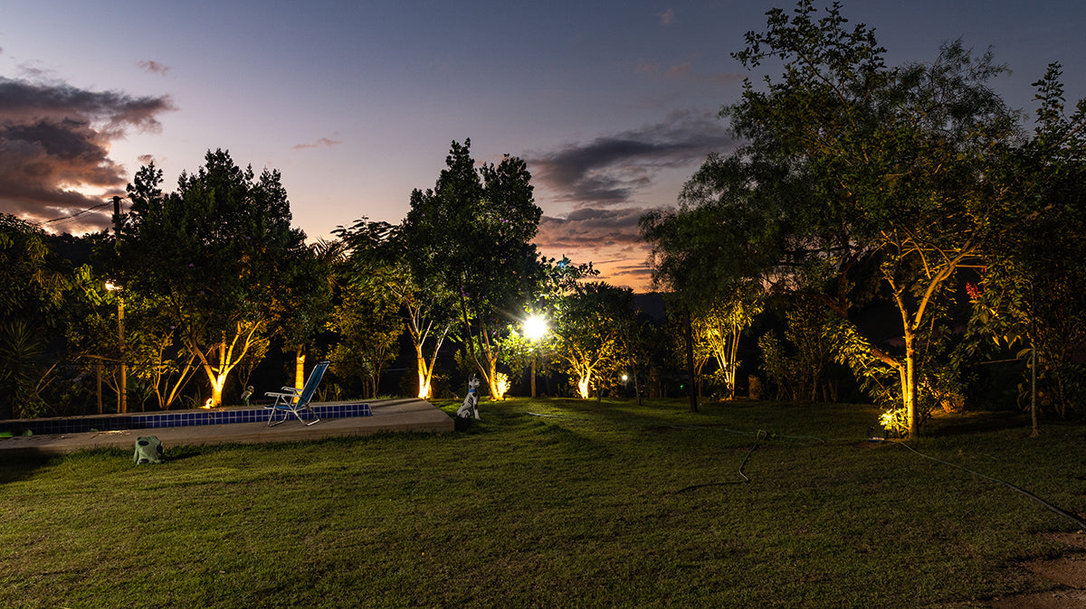 Landscape Lighting Techniques for Trees